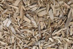 biomass boilers Pibwrlwyd