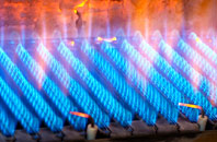 Pibwrlwyd gas fired boilers